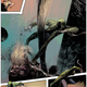 Illustration for article titled It Was Worth Waiting Four Months to Get This Issue of Karnak